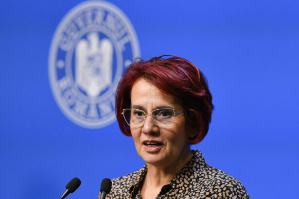 dogioiu spune ca guvernul va tine cont de taierile de cheltuieli aplicate anul trecut de catre institutii 698dc15ef2931