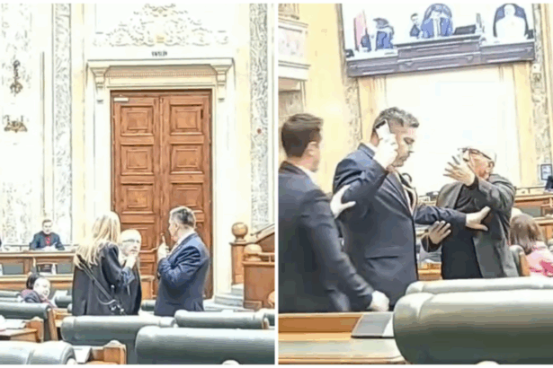 doi senatori romani s au imbrancit si au fost la un pas sa se ia la bataie scandalul provocat de o senatoare 6995c55f2e3f3