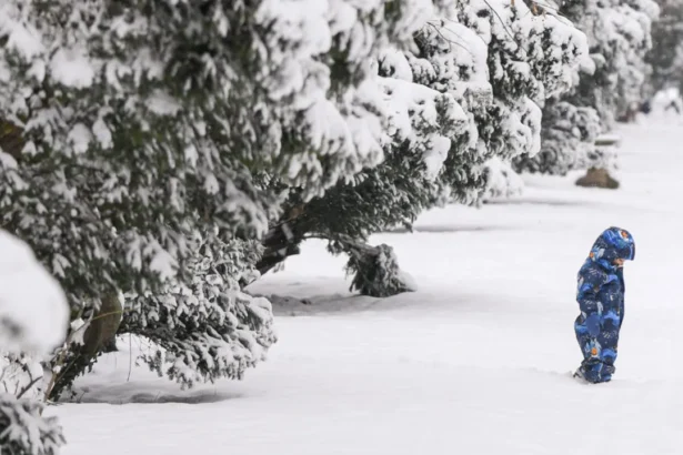 efectele codului portocaliu trafic restrictionat avarii la reteaua electrica si zboruri afectate 69950184a4101