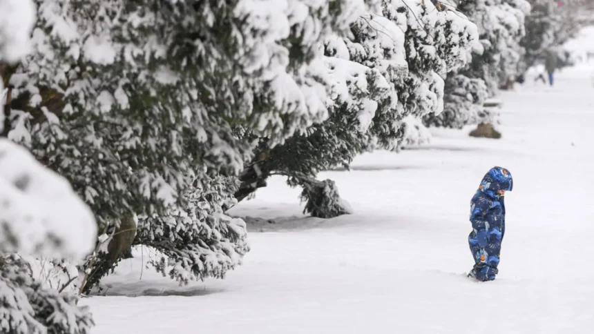efectele codului portocaliu trafic restrictionat avarii la reteaua electrica si zboruri afectate 69950184a4101
