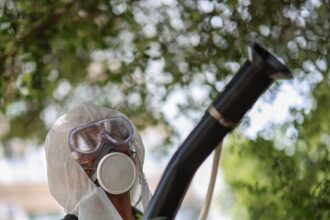 excruciating tropical disease can now be transmitted in most of europe study finds 6995af82578eb