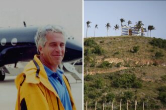 first thing epstein cultivated relationship with cbp officer prompting us investigation 69984e3caad9d