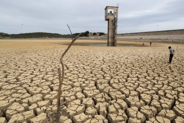 flawed economic models mean climate crisis could crash global economy experts warn 69845c4165e47