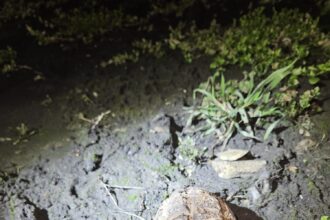 grenada descoperita in apropierea garii din orasul galati 699193e8d5ef7