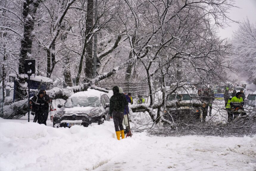 haos in bucuresti dupa ninsoare 183 de copaci rupti zeci de masini avariate si un microbuz blocat in zapada video 69958f75bc228