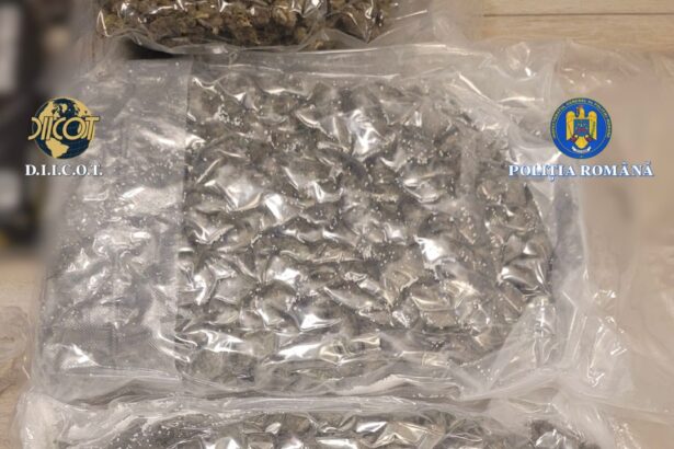 iasi tanar arestat preventiv pentru trafic de droguri prin metoda dead drop 69918839d99a2