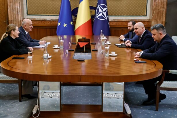 intrevedere intre ilie bolojan si reprezentantii companiei ameropa grains romania la palatul victoria 6981bc401bee3