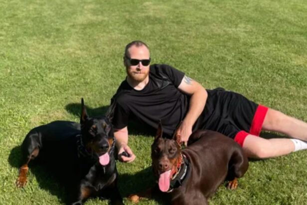 irish man held in ice detention was issued warrant over drug offense in 2009 in ireland 698e41ecd58ab