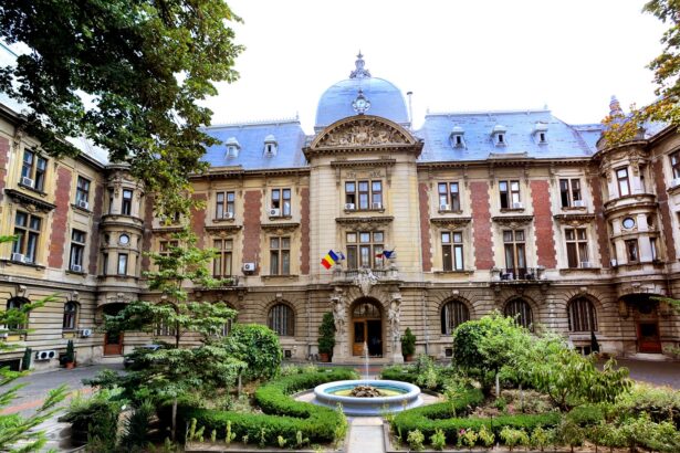 madr simplifica accesul la finantare pentru fermieri proceduri debirocratizate si sprijin mai usor la fonduri europene 698dc3bd6d7b4