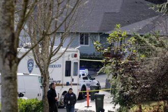 man who stabbed four to death in washington state had history of mental health issues 699f0b318b7b3