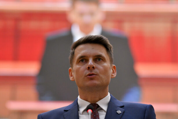 mircea abrudean despre o posibila preluare a conducerii sri speculatii 699f2fd9956d7