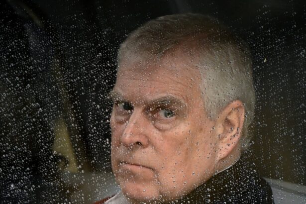 mps considering investigation into andrews role as uk trade envoy 69994e63f1179