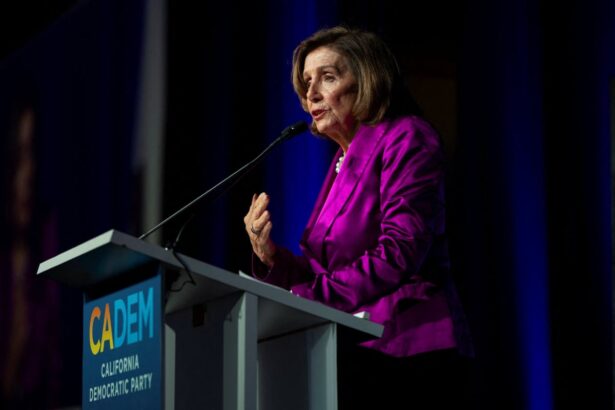 nancy pelosi palooza democrats praise lawmakers career at california convention 699ca64ca75aa