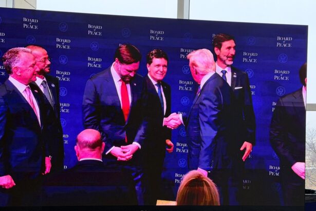 nicusor dan participa la reuniunea inaugurala a consiliului pacii trump l a numit prim ministrul romaniei pe nicusor dan 6997261f06e74