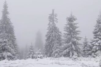 ninsori abundente in carpati si risc mare de avalansa in fagaras si bucegi 69956fab85f84