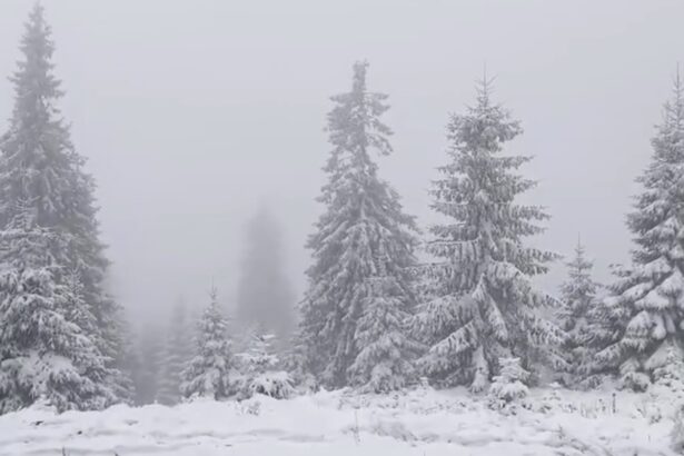 ninsori abundente in carpati si risc mare de avalansa in fagaras si bucegi 69956fab85f84