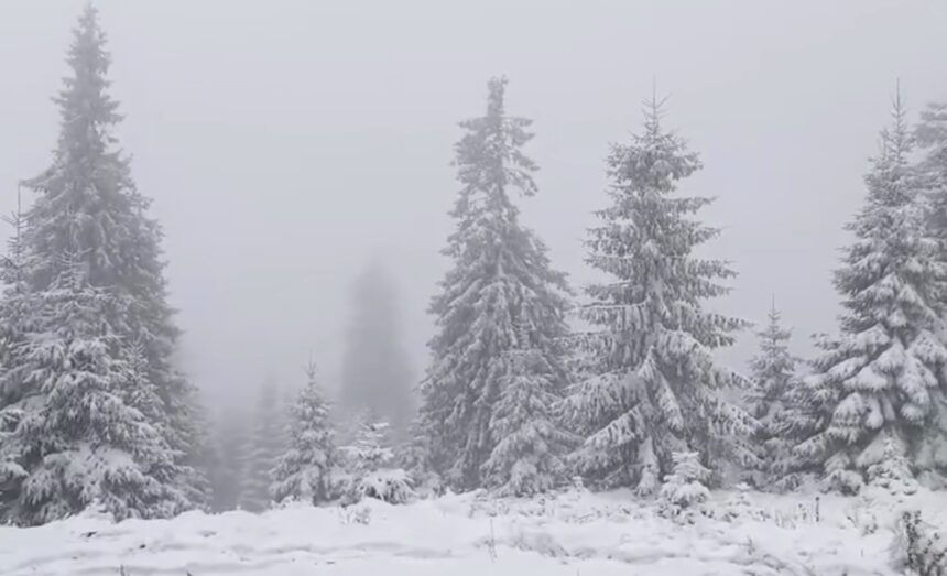 ninsori abundente in carpati si risc mare de avalansa in fagaras si bucegi 69956fab85f84