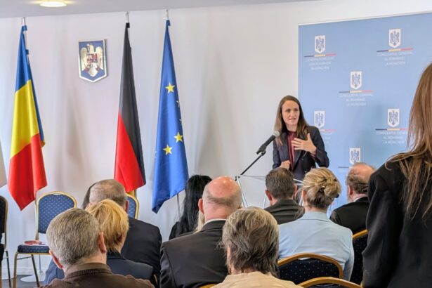 oana toiu anunta cursuri de limba romana si reluarea comisiei mixte romania bavaria 69918f5eefa0a