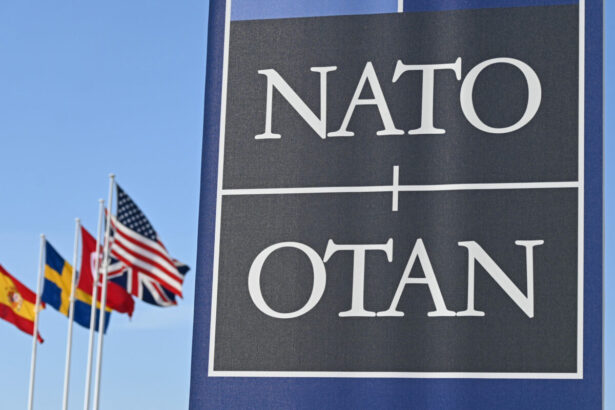 oficial nato lanseaza o misiune in arctica 698c8b024922a