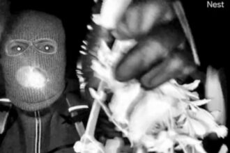 person detained for questioning in nancy guthrie disappearance 698c56d43a21c