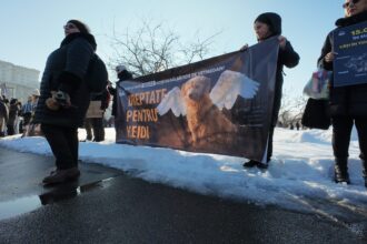 protest la palatul parlamentului pentru drepturile animalelor peste 700 de persoane cer interzicerea eutanasierii in masa 699b22059a332