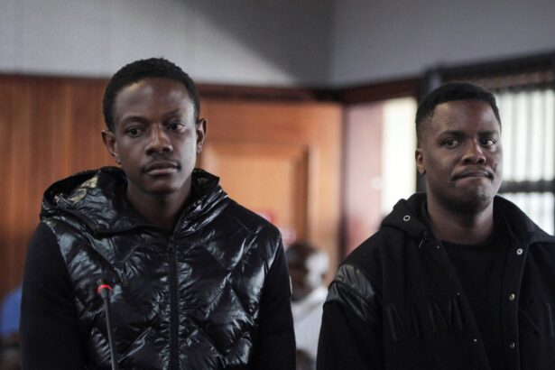 robert mugabes son charged with attempted murder over johannesburg shooting 699dad40c6357