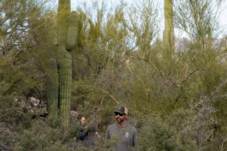 search for savannah guthries mother continues with 18000 plus calls pouring in 698de422e78f8