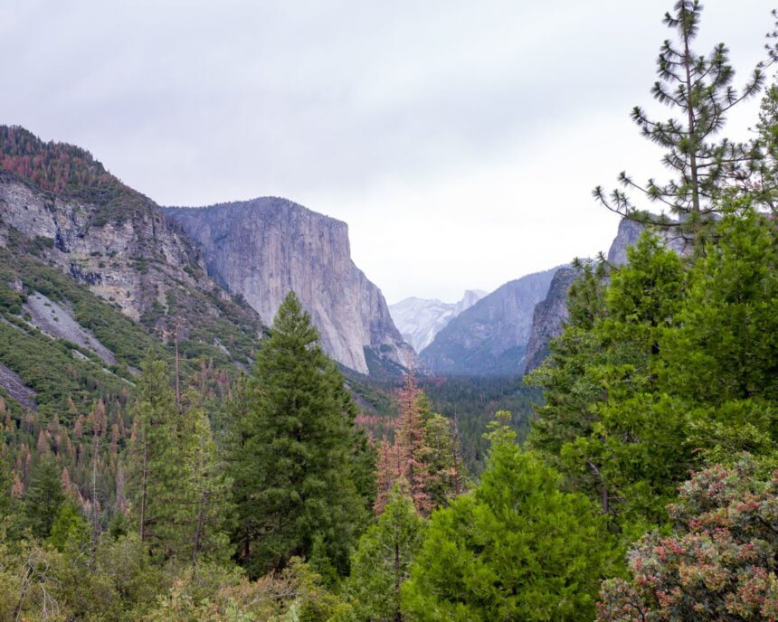 trump nominates hospitality executive to lead national park service 698e7582d225b