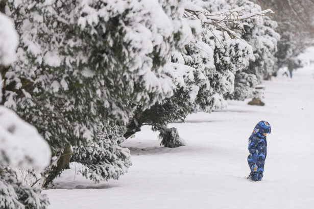 update scoli inchise din cauza viscolului galati vrancea si partial braila trec in online scoli inchise si in constanta si bacau 69958adae63cd