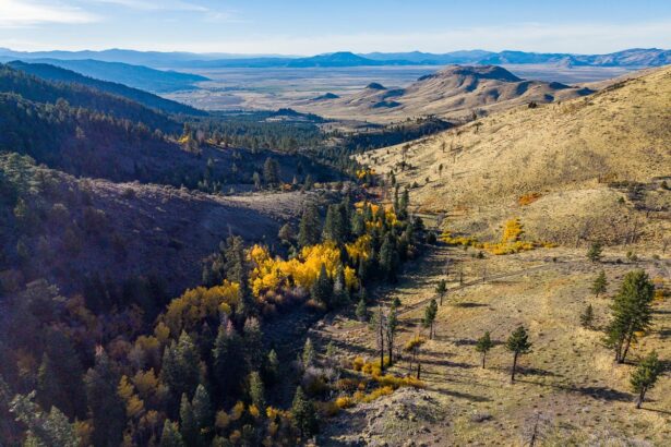 washoe tribe buys 10000 acres in one of californias largest ever land returns 698cfb0247000