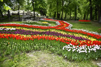 21 martie ziua olteniei regiunea care a dat startul uneia dintre cele mai importante miscari din istoria romaniei 69be692bcad8a