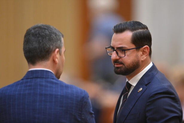 adrian chesnoiu fost ministru psd al agriculturii a fost condamnat la patru ani de inchisoare sentinta nu este definitiva 69a856857c226