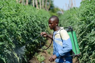 africa particularly vulnerable as iran conflict disrupts supply chains say experts 69b93629d479f