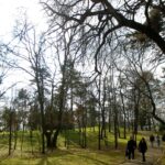 anuntul anm despre vremea de pastele catolic si ortodox temperaturi mai mari decat cele normale 69cb4e5d4362a