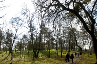 anuntul meteorologilor despre vremea din urmatoarele doua saptamani maxime de 17 grade celsius 69b7e0f2abbc3