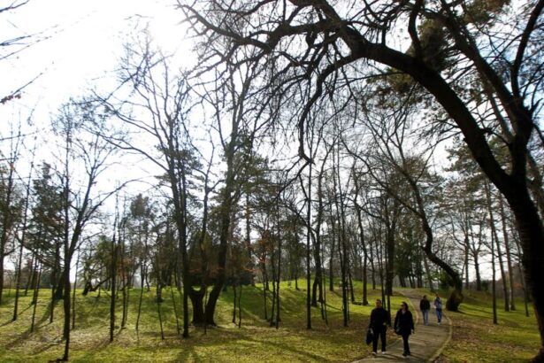 anuntul meteorologilor despre vremea din urmatoarele doua saptamani maxime de 17 grade celsius 69b7e0f2abbc3