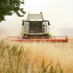 aur a depus un proiect de lege pentru limitarea cumpararii terenurilor agricole de catre investitori straini 69afe670b70d2