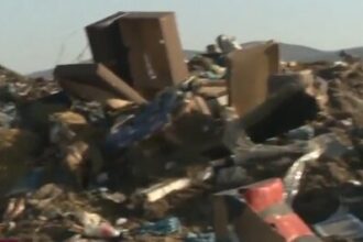 autoritatile bulgare investigheaza un posibil import ilegal de animale din romania abator ilegal descoperit in zona ihtiman 69b6a70225b93