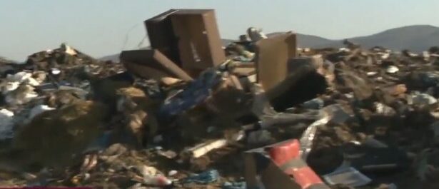 autoritatile bulgare investigheaza un posibil import ilegal de animale din romania abator ilegal descoperit in zona ihtiman 69b6a70225b93