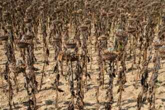 cei mai calzi 11 ani din istorie confirmati oficial ce urmeaza pentru planeta care nu mai poate raci 69c0f83752d1f