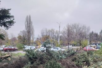 ciocanul de marcat arbori inlocuit cu echipamente moderne 69b0350b4d88d