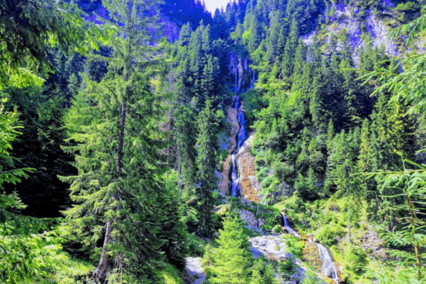 comuna din bistrita nasaud care pune un pariu record pentru supravietuire si construieste o punte suspendata de 6 milioane de euro in muntii rodnei 69c26bcdda027