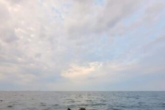 contre intre mapn si ambasada rusiei pe tema minelor in deriva din marea neagra 69c6316c4ac50