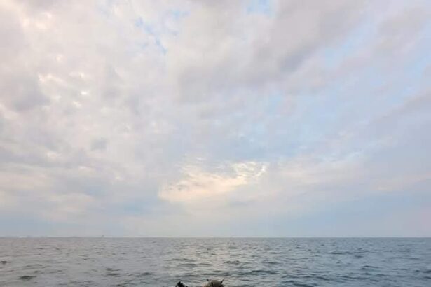 contre intre mapn si ambasada rusiei pe tema minelor in deriva din marea neagra 69c6316c4ac50