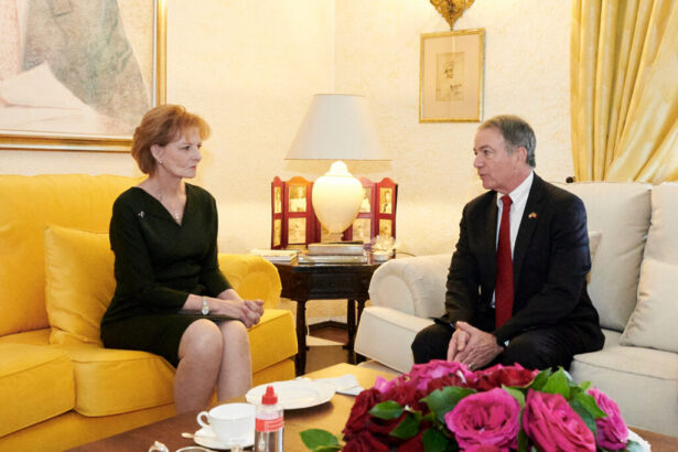 custodele coroanei margareta l a primit la palatul elisabeta pe noul ambasador al statelor unite 69b46313d84ce