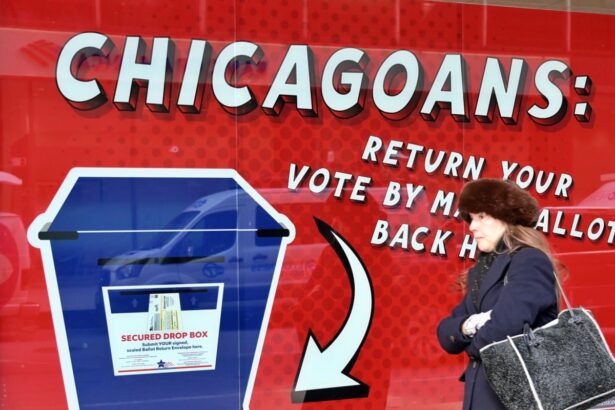 democratic voters select house candidates in illinois after heated primaries 69ba3af64961f