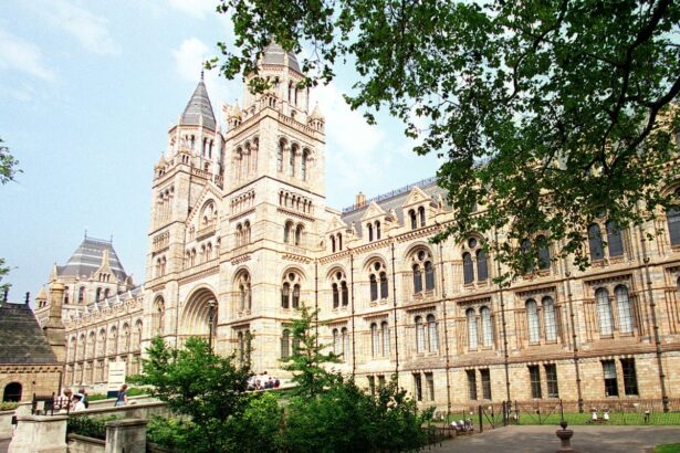 descendants of zimbabwe resistance heroes urge uk to locate looted skulls 69b044556536a