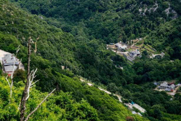 dezlegare la peste doua retete de saramura de pe athos si o ciorba de peste lipoveneasca pentru buna vestire 69c28ef5dfeee