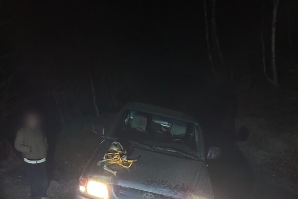 doua turiste ratacite cu masina in padure salvate de jandarmii sibieni 69b3d1831fc93