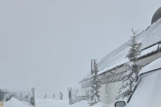 drum acoperit cu zapada in zona turistica de la horezu politia a restrictionat circulatia 69c788e6993d9